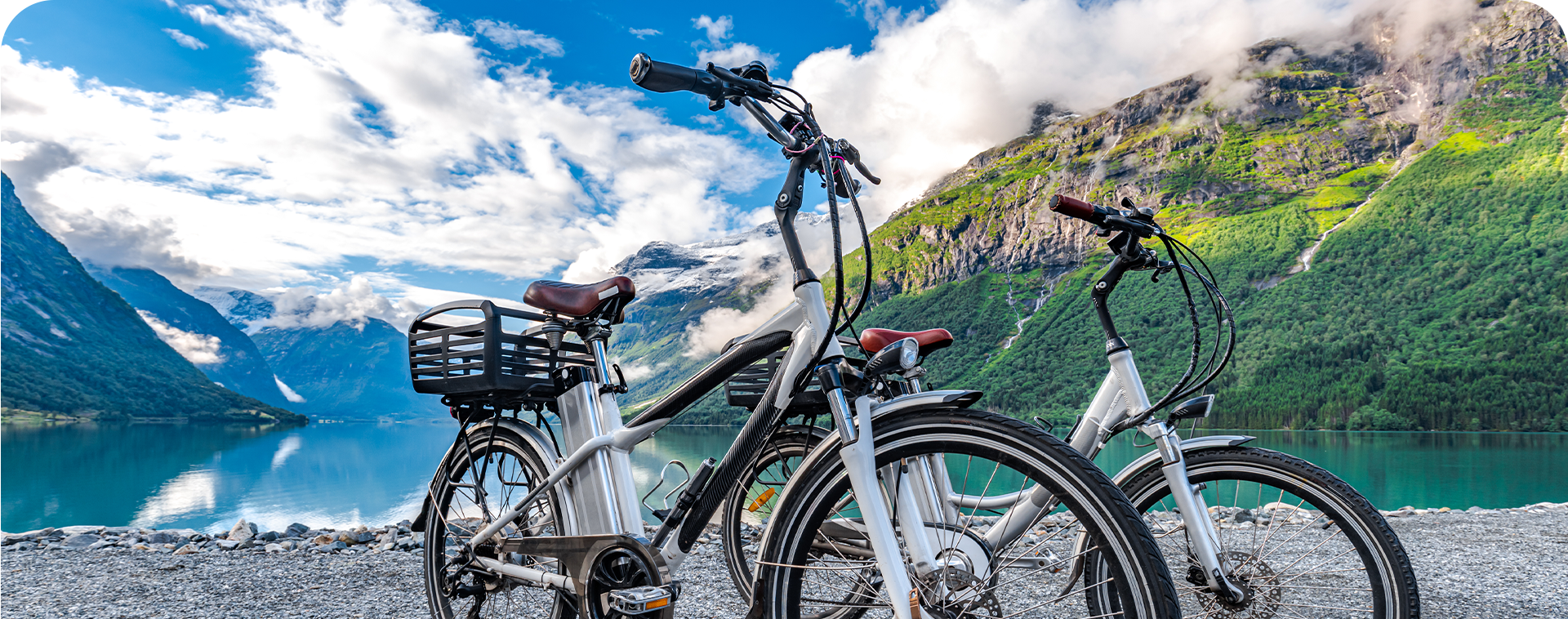 Biciclete electrice comune